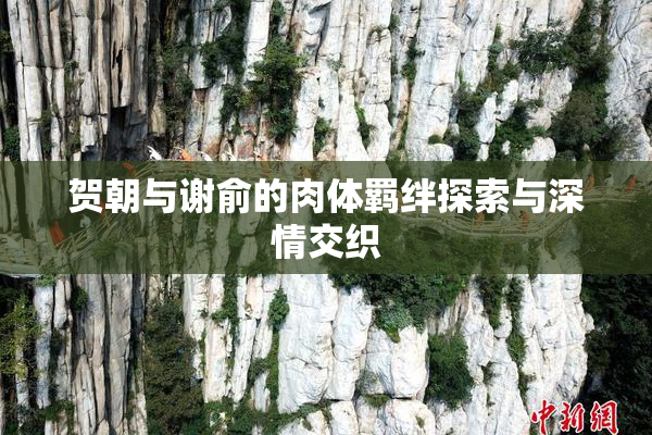 贺朝与谢俞的肉体羁绊探索与深情交织