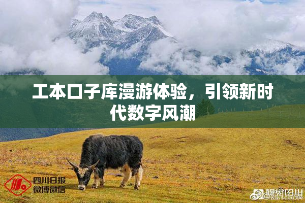 工本口子库漫游体验，引领新时代数字风潮