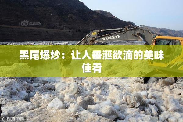 黑尾爆炒：让人垂涎欲滴的美味佳肴