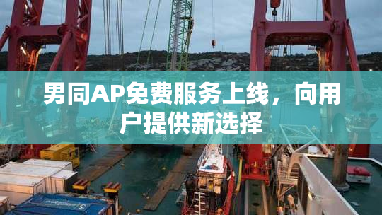 男同AP免费服务上线，向用户提供新选择
