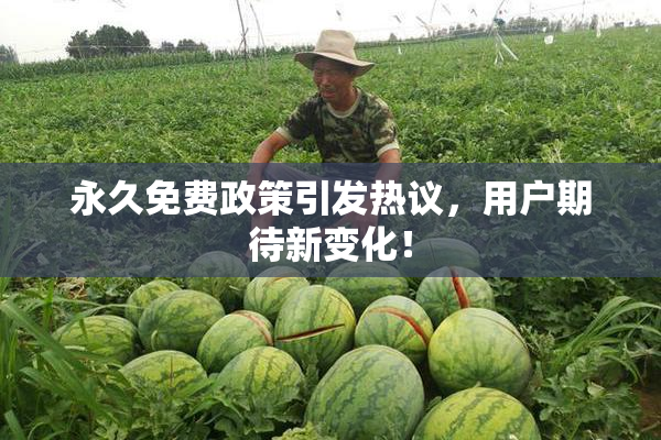 永久免费政策引发热议，用户期待新变化！