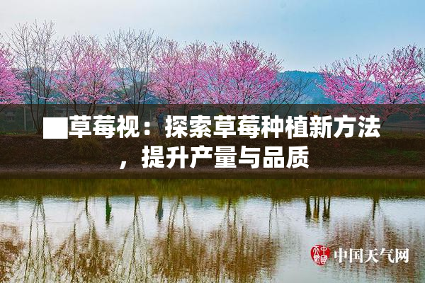 ▇草莓视：探索草莓种植新方法，提升产量与品质