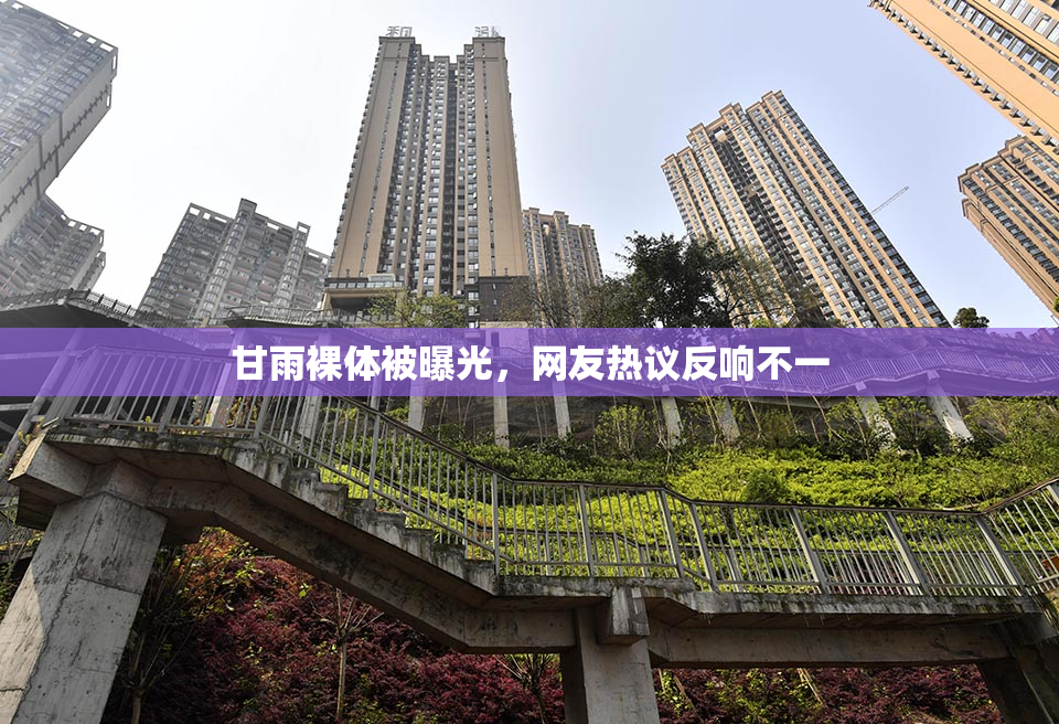 甘雨裸体被曝光，网友热议反响不一