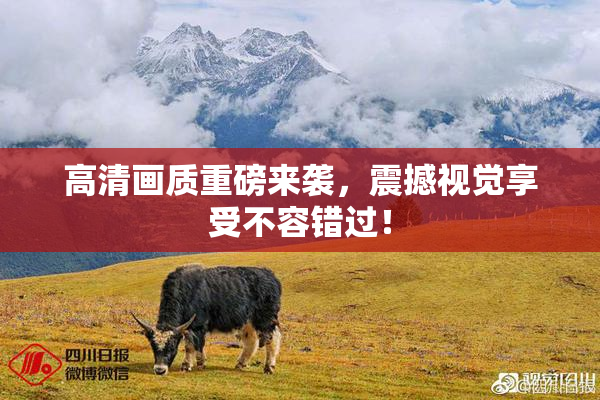 高清画质重磅来袭，震撼视觉享受不容错过！
