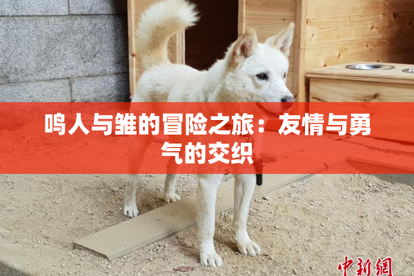 鸣人与雏的冒险之旅：友情与勇气的交织