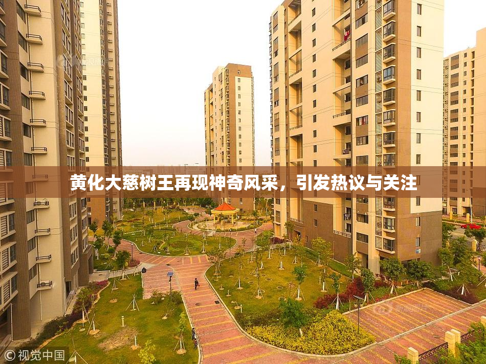 黄化大慈树王再现神奇风采，引发热议与关注