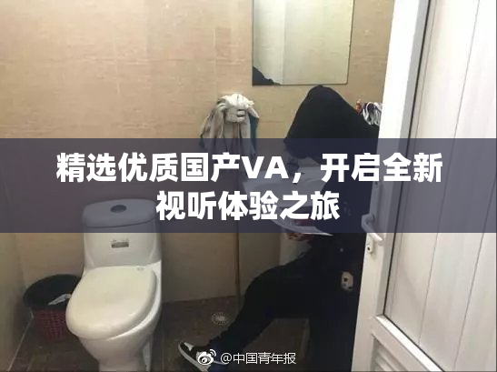 精选优质国产VA，开启全新视听体验之旅