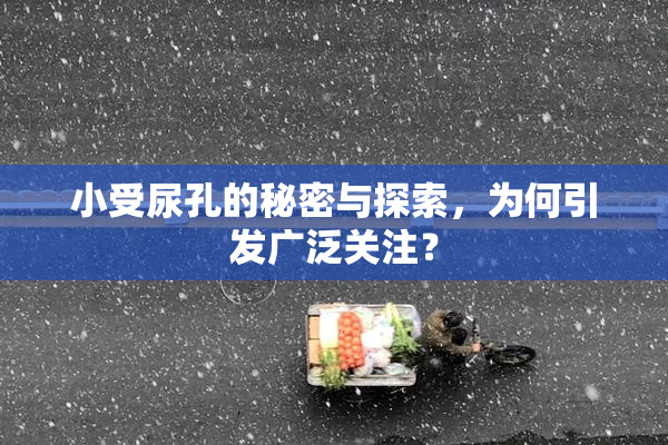 小受尿孔的秘密与探索，为何引发广泛关注？