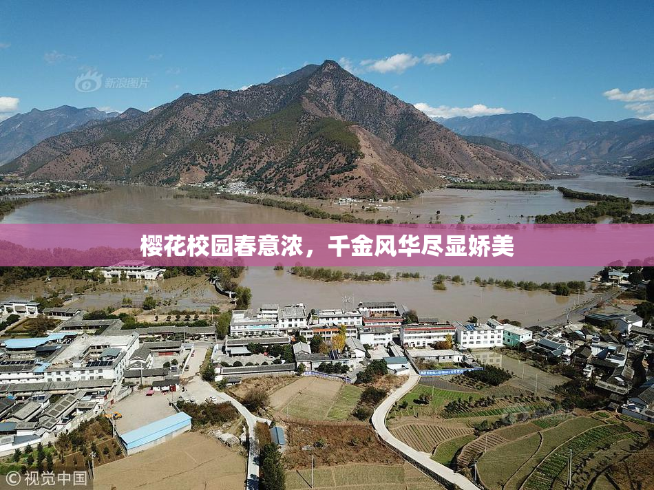 樱花校园春意浓，千金风华尽显娇美