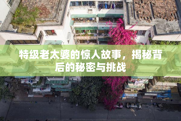 特级老太婆的惊人故事，揭秘背后的秘密与挑战