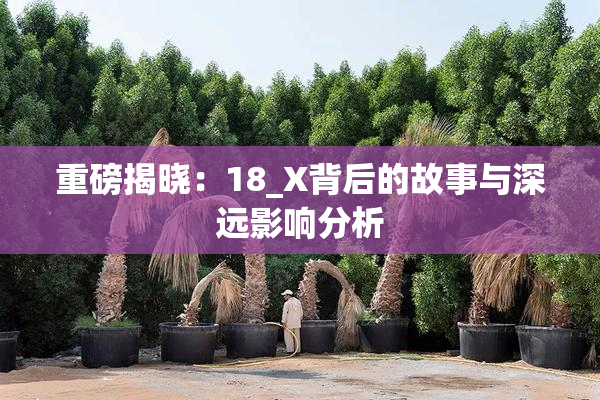 重磅揭晓：18_X背后的故事与深远影响分析