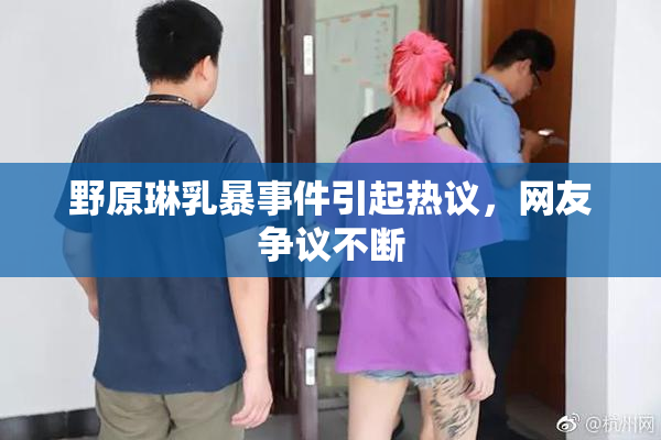 野原琳乳暴事件引起热议，网友争议不断