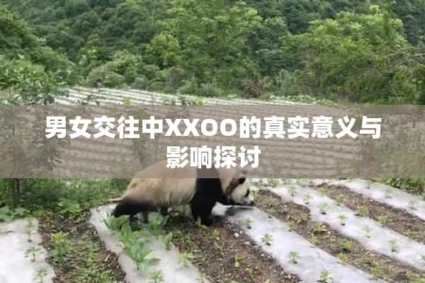 男女交往中XXOO的真实意义与影响探讨