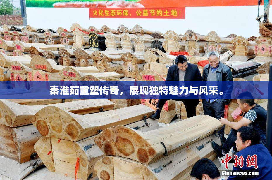 秦淮茹重塑传奇，展现独特魅力与风采。