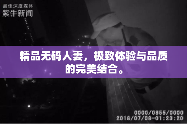 精品无码人妻，极致体验与品质的完美结合。