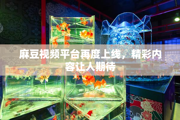 麻豆视频平台再度上线，精彩内容让人期待