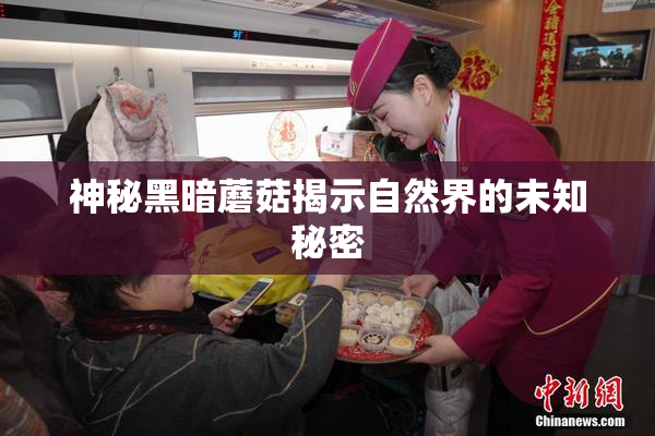 神秘黑暗蘑菇揭示自然界的未知秘密