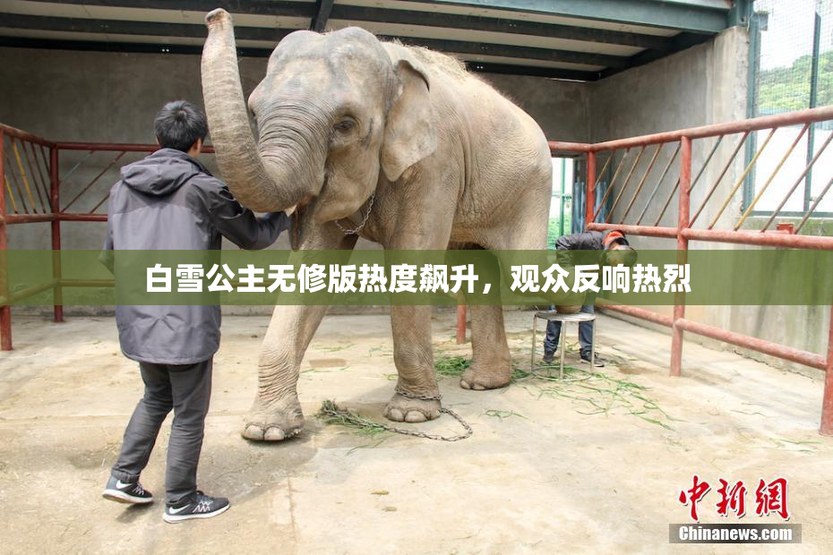 白雪公主无修版热度飙升，观众反响热烈
