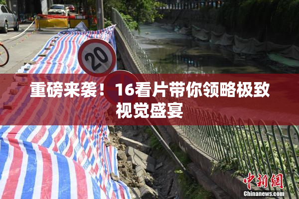 重磅来袭！16看片带你领略极致视觉盛宴