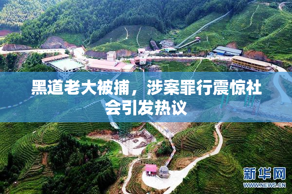 黑道老大被捕，涉案罪行震惊社会引发热议