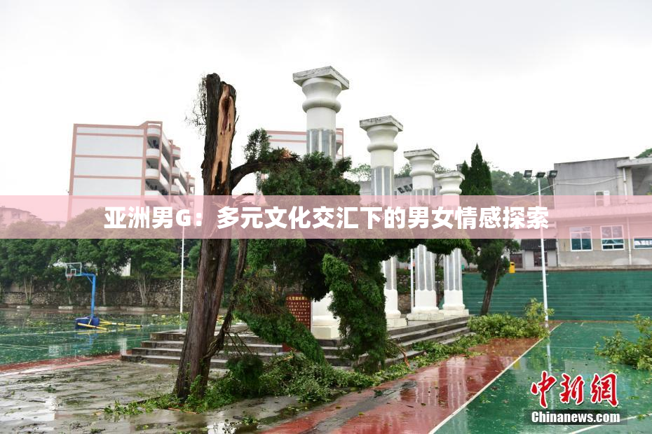 亚洲男G：多元文化交汇下的男女情感探索