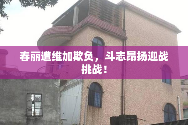 春丽遭维加欺负，斗志昂扬迎战挑战！