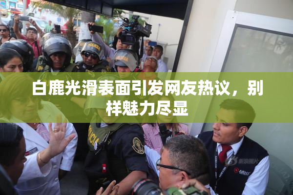 白鹿光滑表面引发网友热议，别样魅力尽显