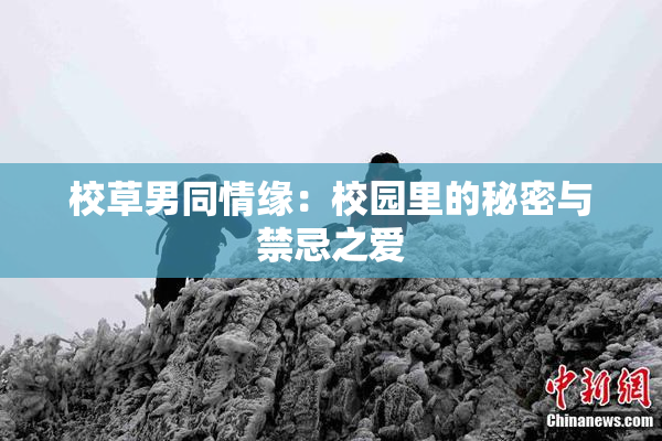 校草男同情缘：校园里的秘密与禁忌之爱