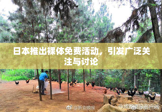 日本推出裸体免费活动，引发广泛关注与讨论