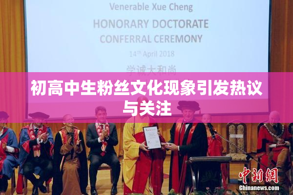 初高中生粉丝文化现象引发热议与关注