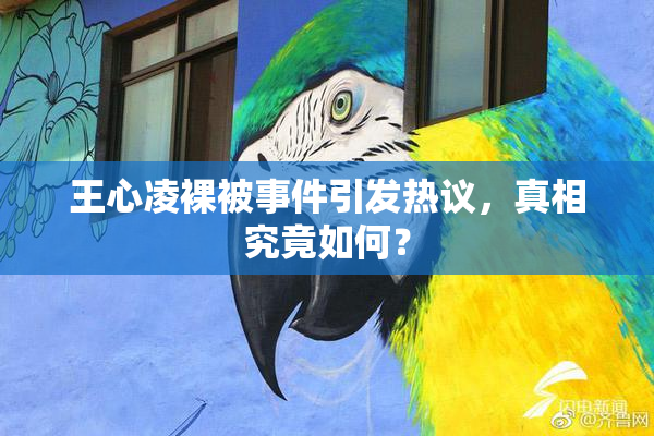 王心凌裸被事件引发热议，真相究竟如何？