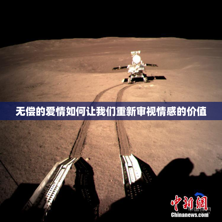 无偿的爱情如何让我们重新审视情感的价值