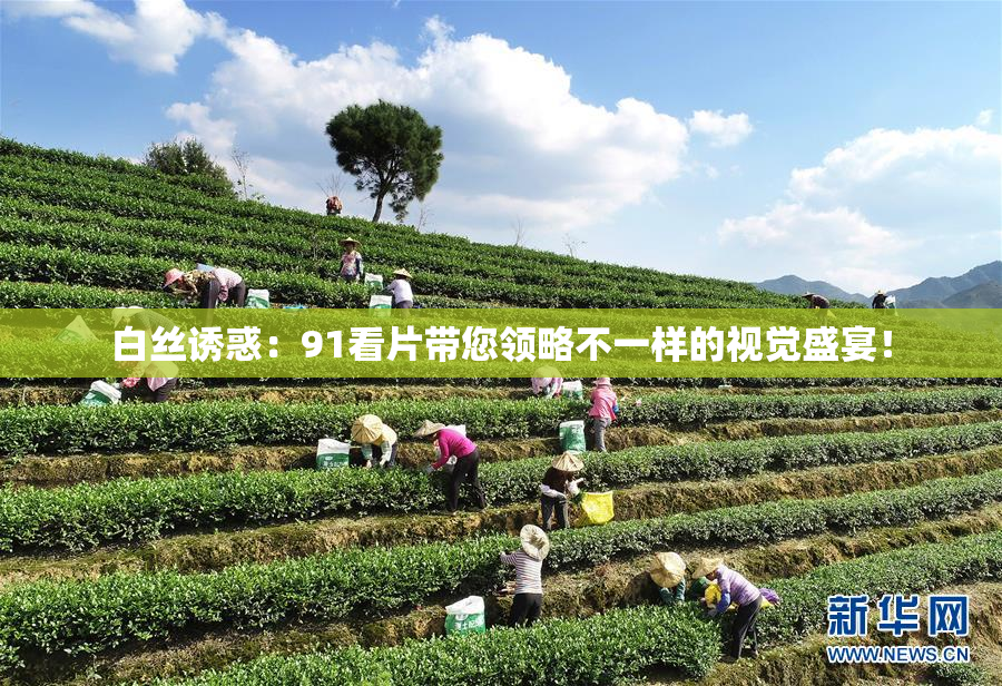 白丝诱惑：91看片带您领略不一样的视觉盛宴！