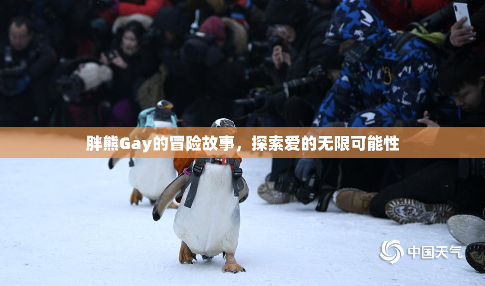 胖熊Gay的冒险故事，探索爱的无限可能性