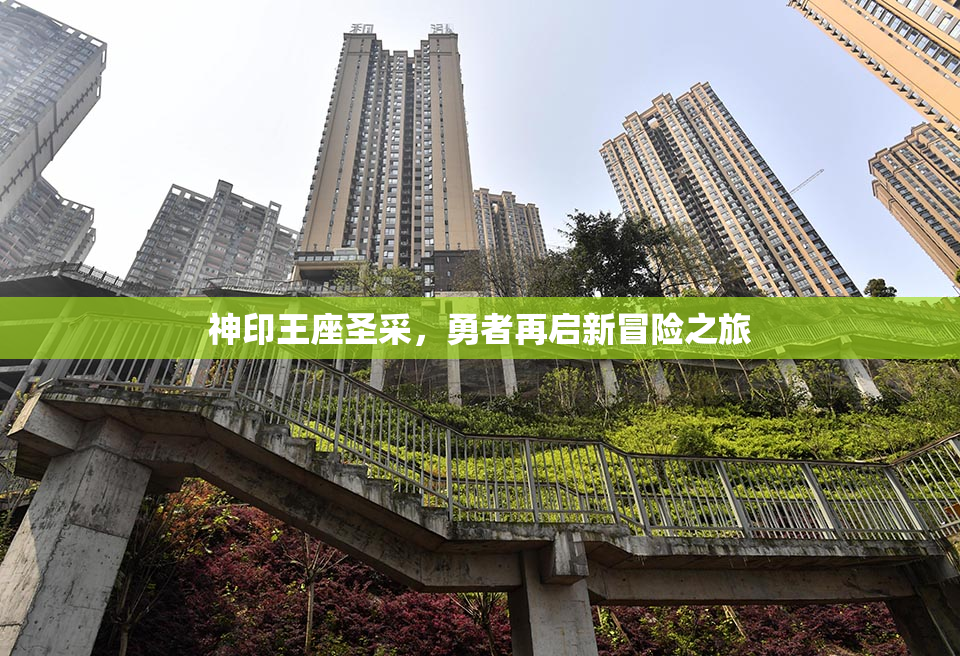 神印王座圣采，勇者再启新冒险之旅
