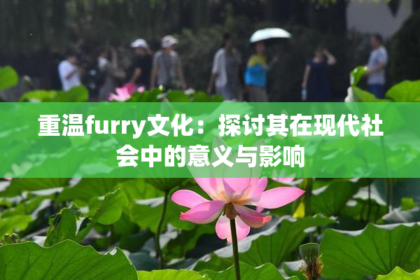 重温furry文化：探讨其在现代社会中的意义与影响