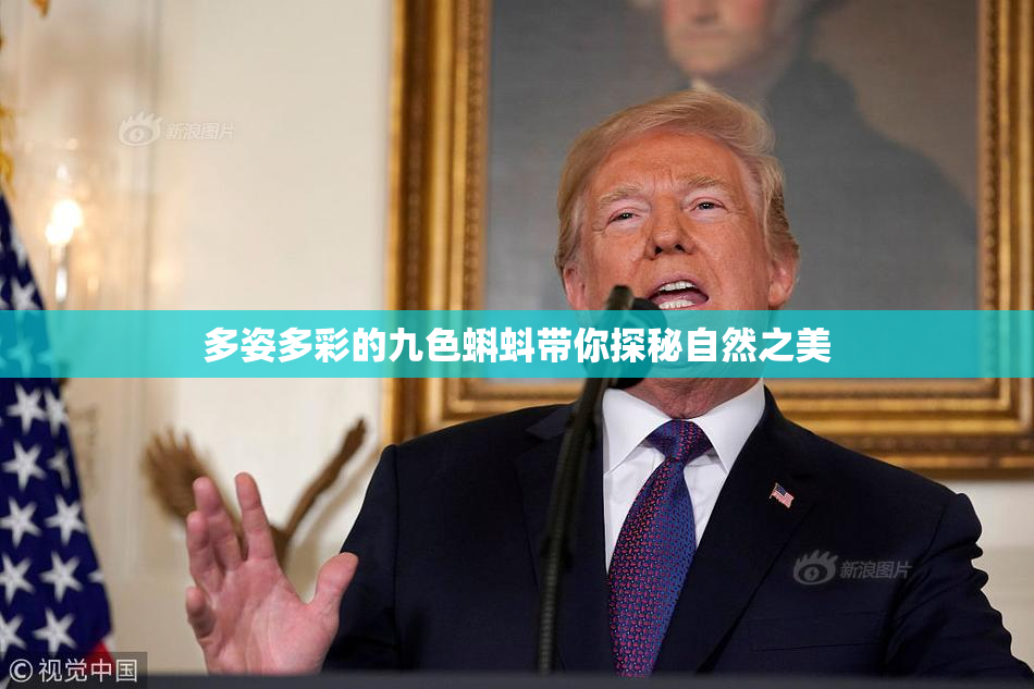 多姿多彩的九色蝌蚪带你探秘自然之美