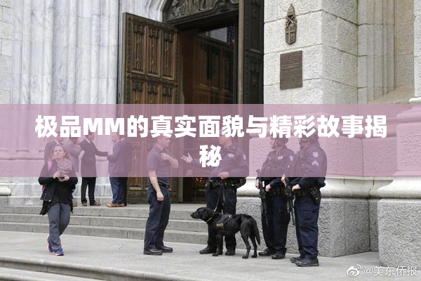 极品MM的真实面貌与精彩故事揭秘