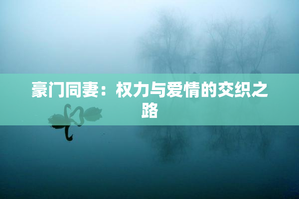 豪门同妻：权力与爱情的交织之路