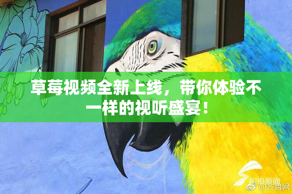 草莓视频全新上线，带你体验不一样的视听盛宴！