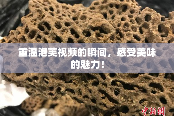 重温泡芙视频的瞬间，感受美味的魅力！
