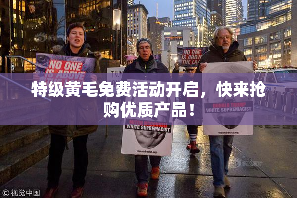 特级黄毛免费活动开启，快来抢购优质产品！