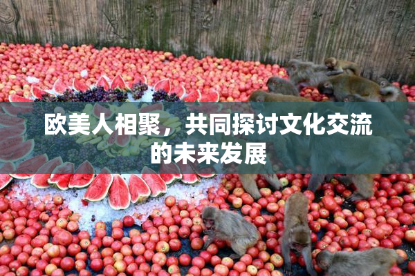 欧美人相聚，共同探讨文化交流的未来发展