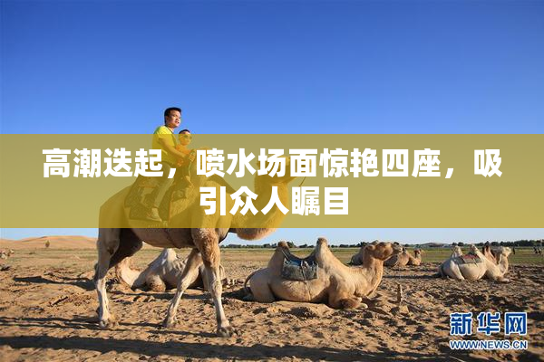 高潮迭起，喷水场面惊艳四座，吸引众人瞩目