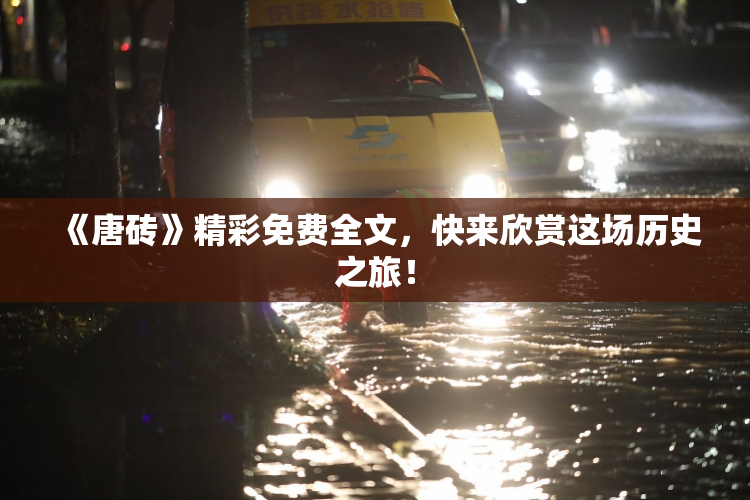 《唐砖》精彩免费全文，快来欣赏这场历史之旅！