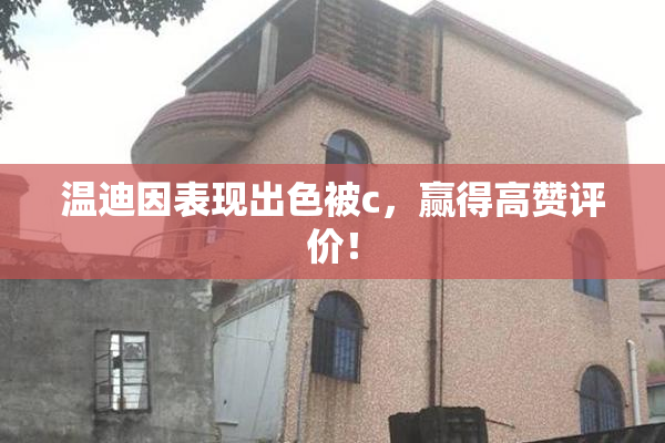 温迪因表现出色被c，赢得高赞评价！