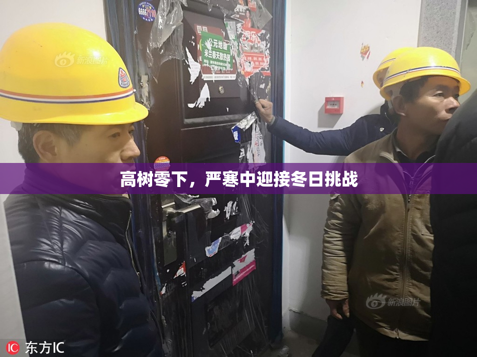 高树零下，严寒中迎接冬日挑战