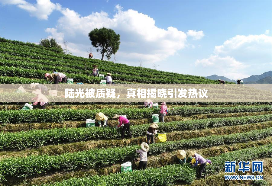 陆光被质疑，真相揭晓引发热议