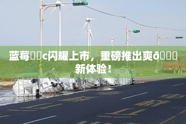 蓝莓❌‌c闪耀上市，重磅推出爽🔞新体验！