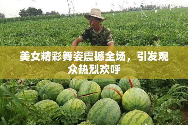 美女精彩舞姿震撼全场，引发观众热烈欢呼